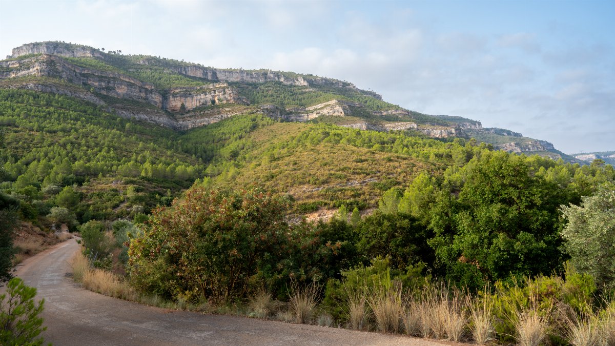 Explore the lush, rolling hills of Cortes de Pallás, Spain in this serene mountain landscape.