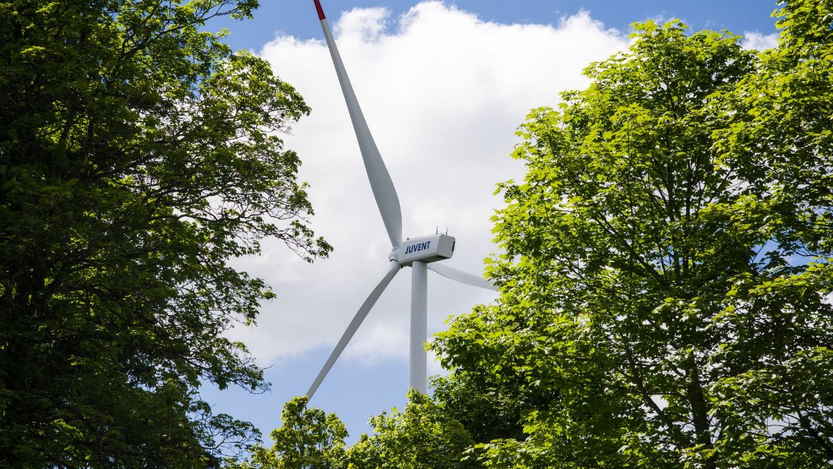 Wind turbine amidst a green forest under a clear blue sky, symbolizing renewable energy.