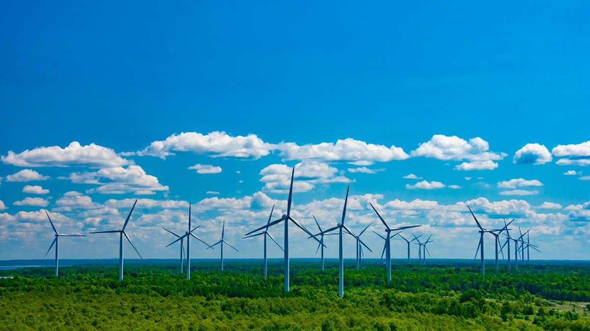 A panoramic view of wind turbines on a sunny day in a lush green forest.