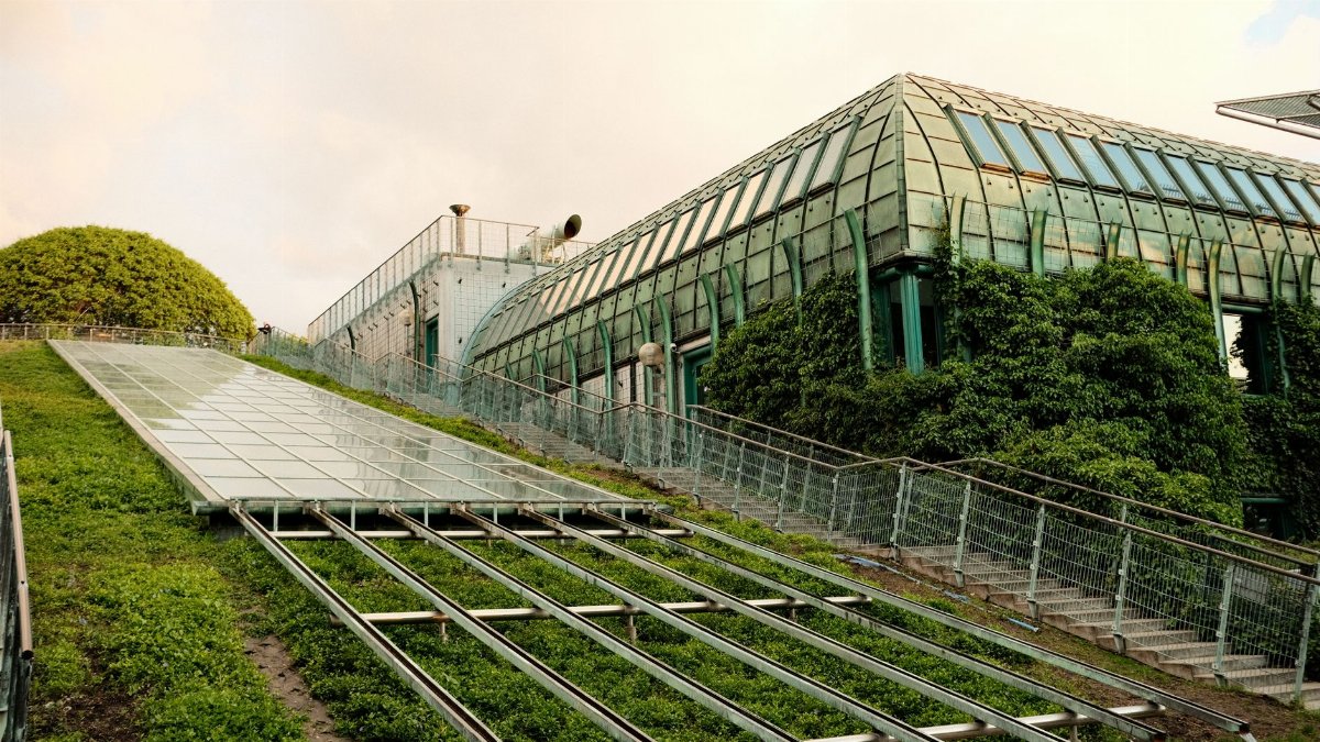 Modern eco-friendly building with a lush green roof and innovative architecture design.
