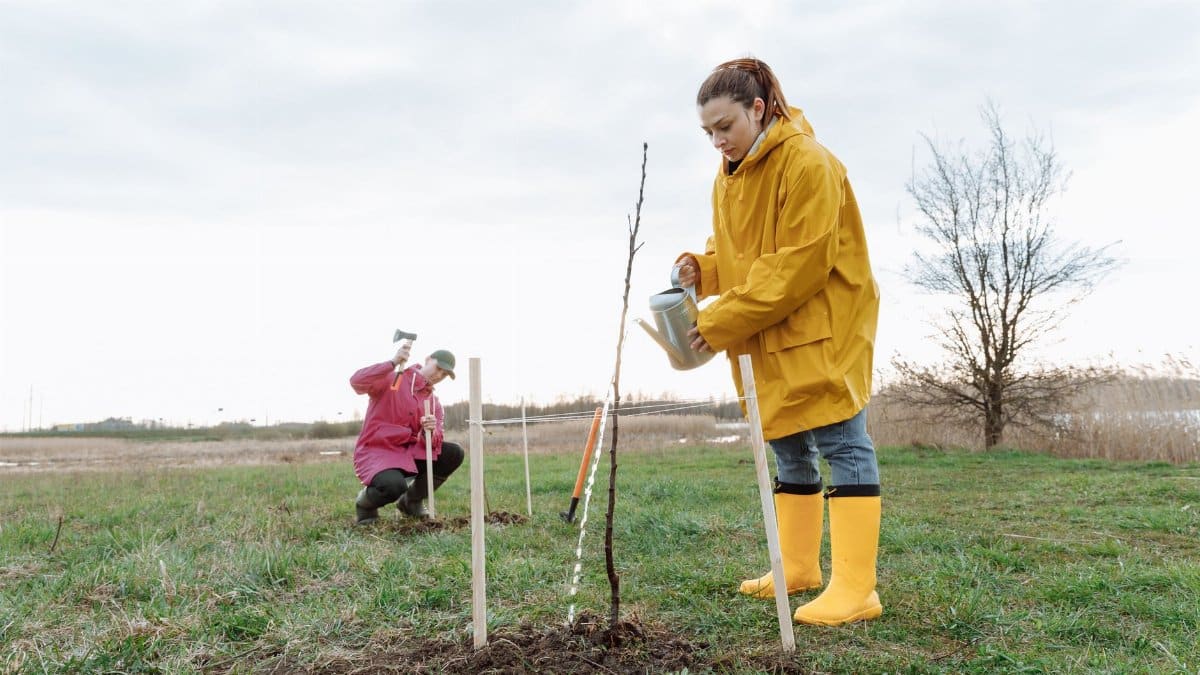 Two people engage in tree planting outdoors, contributing to environmental conservation.