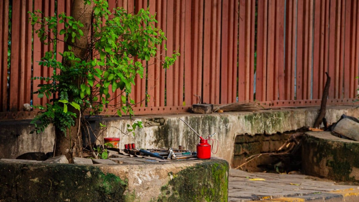 A vibrant tree growing near a red fence with tools and an oil can on a stone ledge.