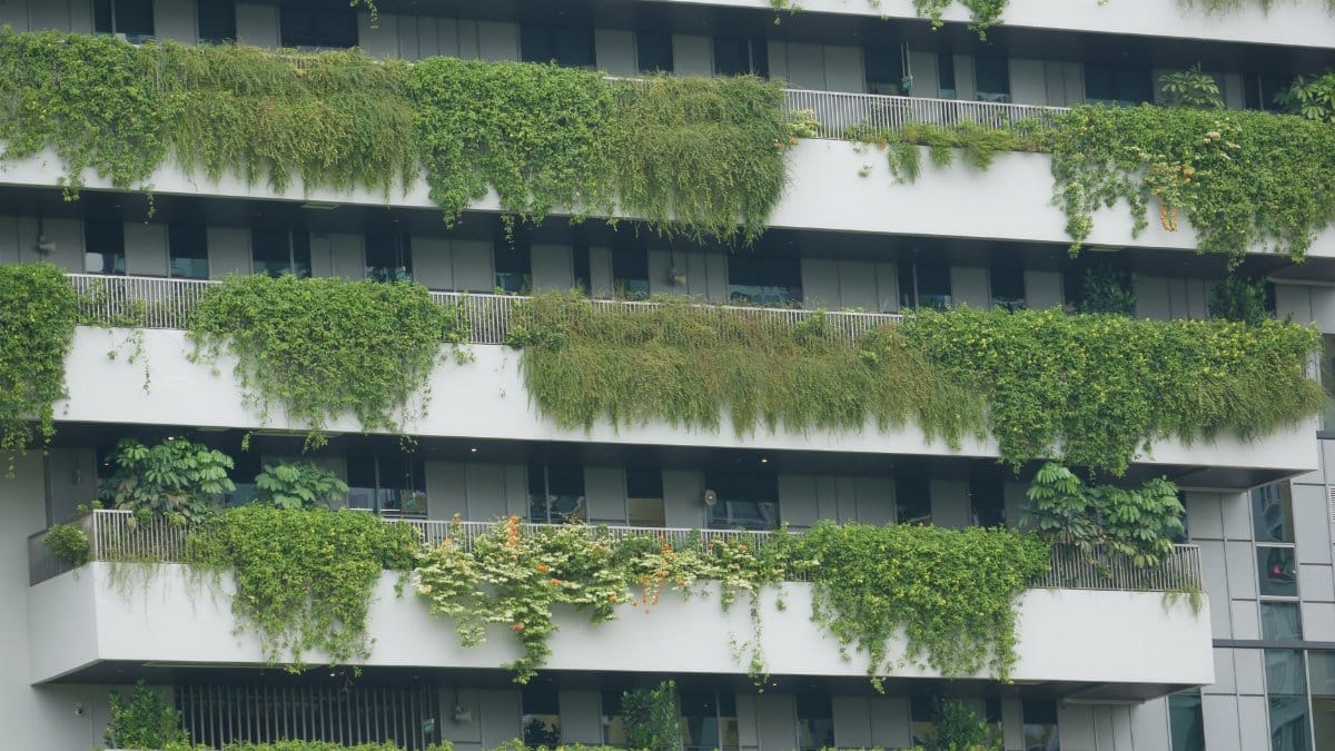 Eco-friendly building featuring lush greenery and sustainable design.
