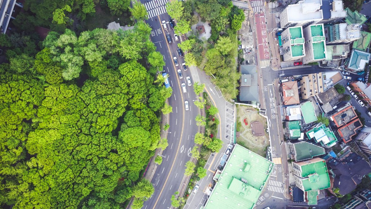 Aerial shot showcasing a vibrant city intersection bordered by lush green trees and urban buildings.