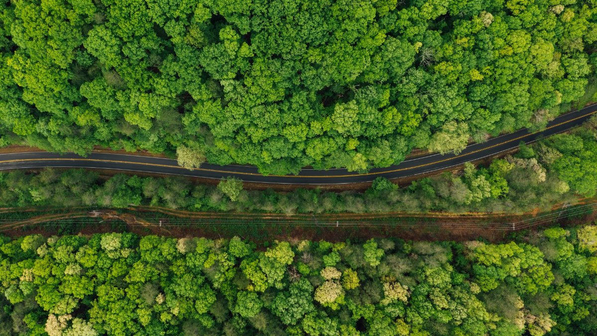 Drone view scenery of empty curvy road running through green forest along with electricity transmission line