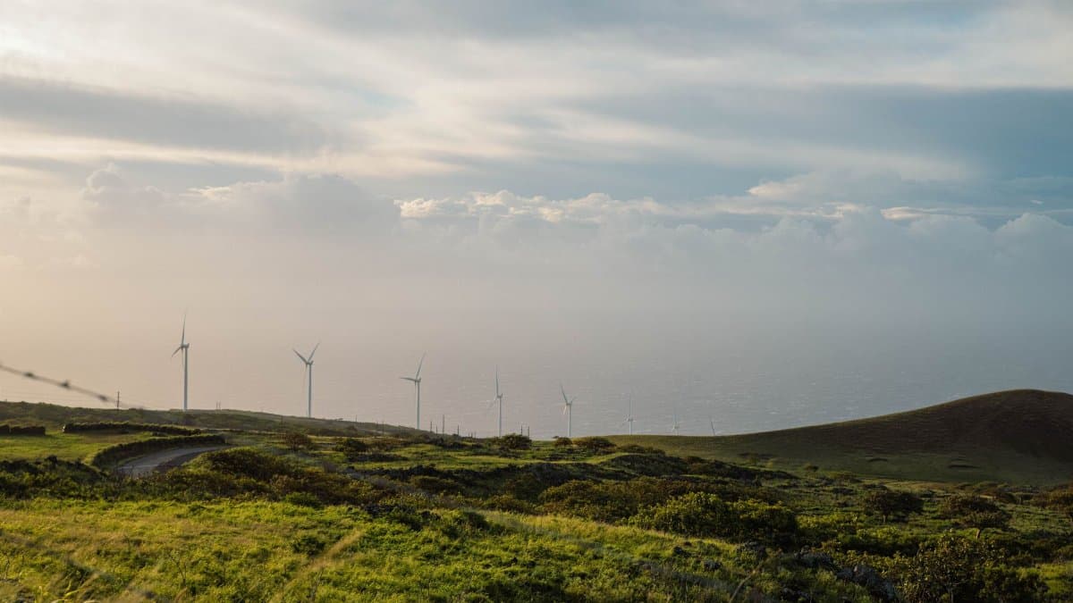 Wind turbines on a grassy hill under a blue sky, providing renewable energy solutions.