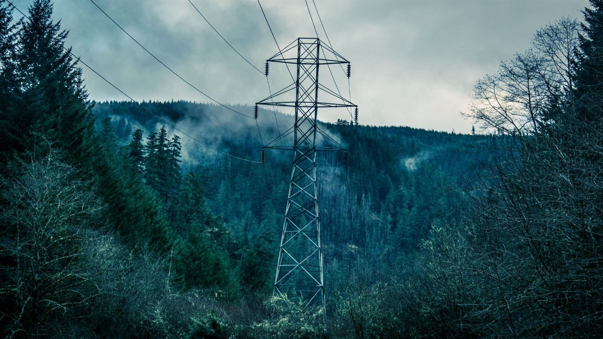 A tall power line tower stands among misty trees in a dense forest, creating a dramatic contrast.