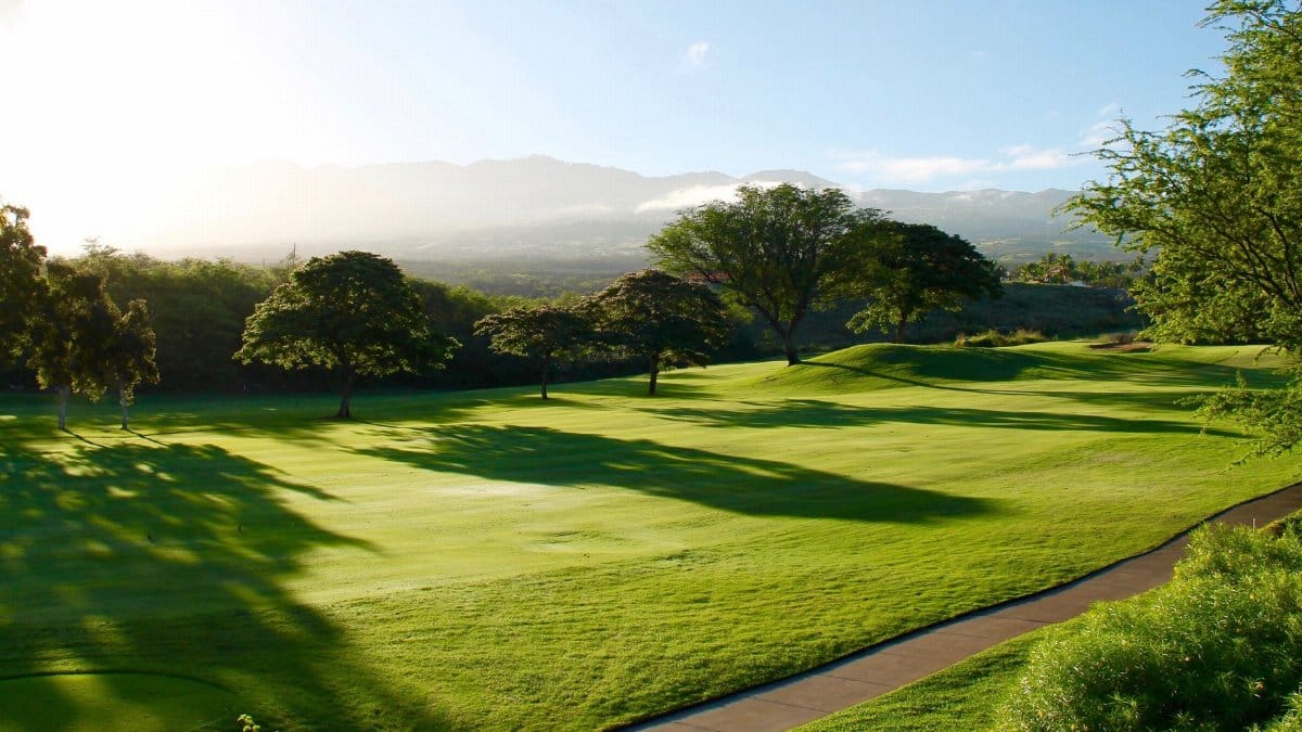 Serene view of a lush green golf course surrounded by trees and mountains, bathed in sunlight.