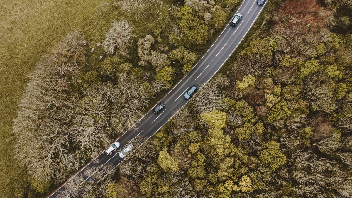 Drone view captures vehicles driving on a winding road through a lush forest, showcasing the blend of nature and transportation.