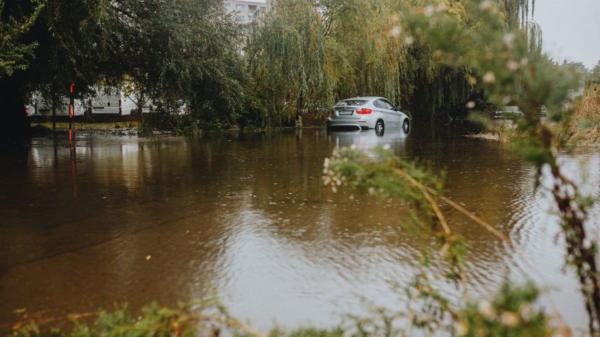 A silver car partially submerged in floodwaters surrounded by trees, reflecting environmental impact.