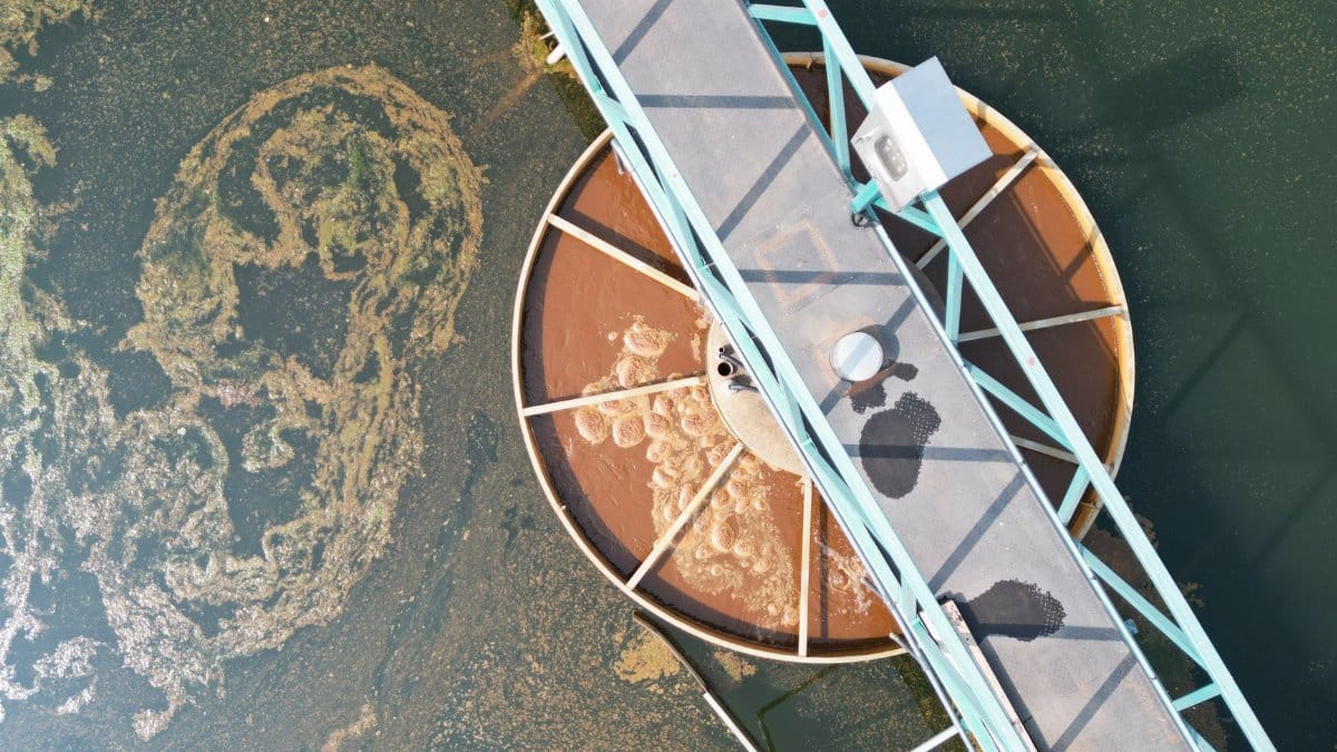 An aerial shot of a water treatment facility with industrial structures and algae presence, showcasing environmental elements.