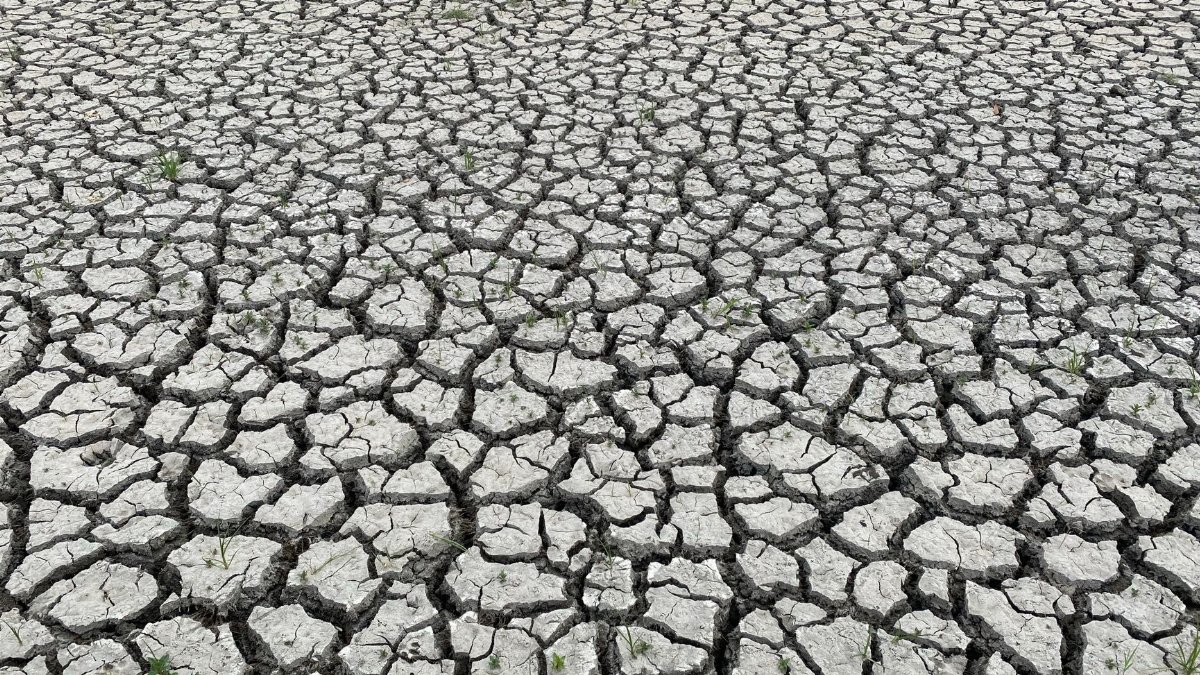 A dry, cracked earth surface illustrating the effects of drought and climate change.