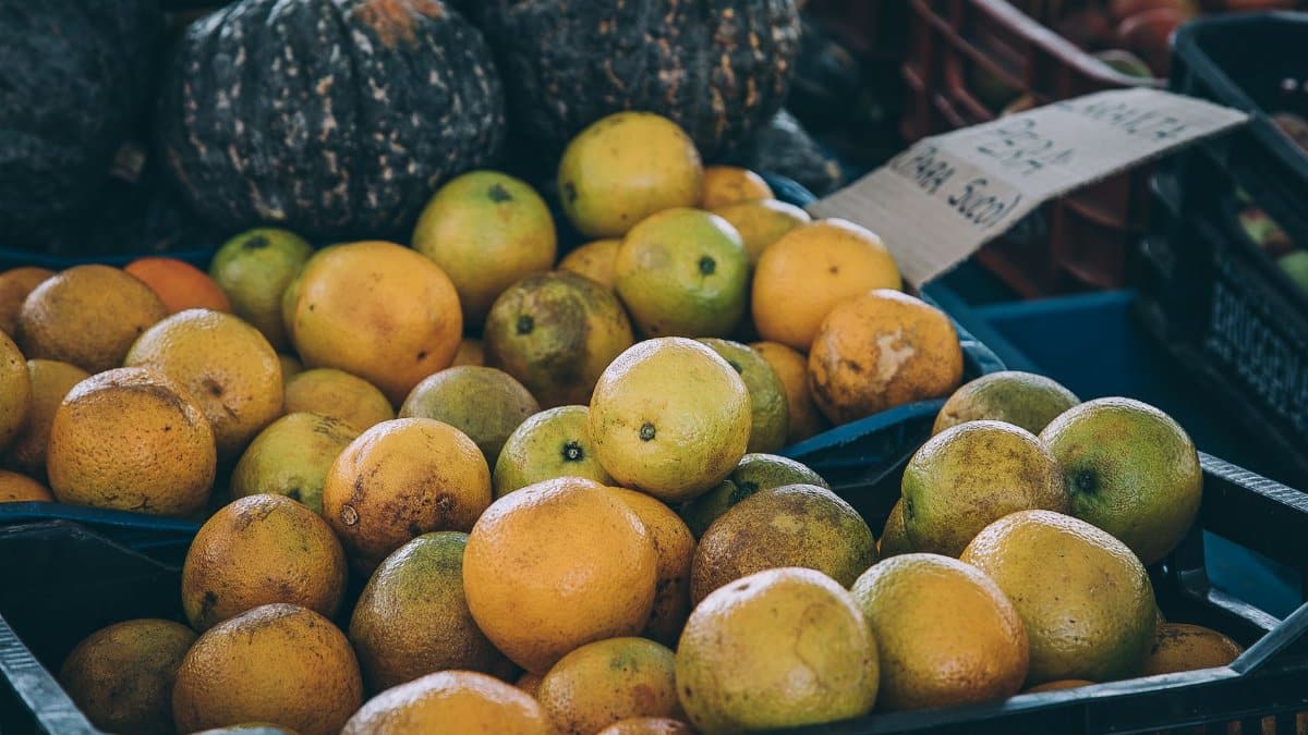Basket of fresh citrus fruits on display at a local market stall.