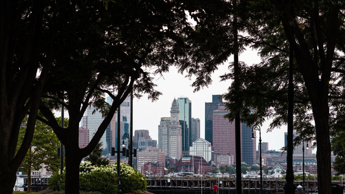 View of Boston's skyline framed by lush trees from a city park.