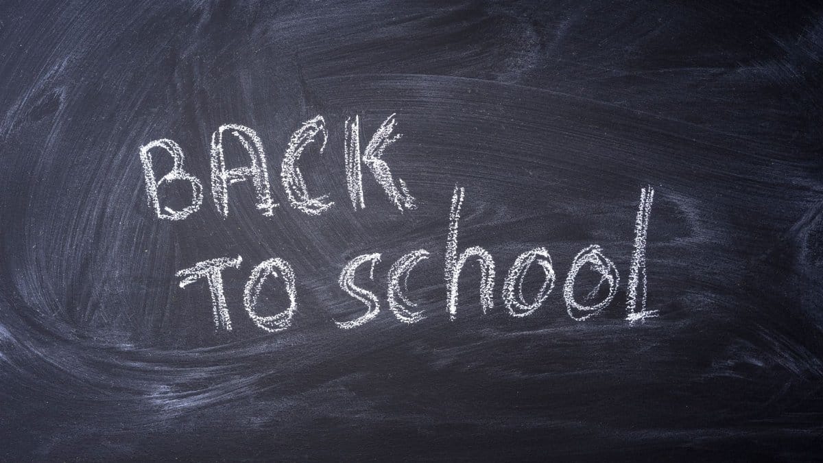 Blackboard with 'Back to School' written in chalk, ideal for educational themes.