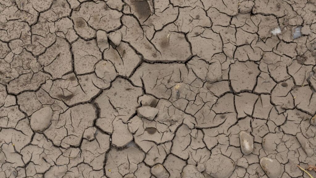Close-up of cracked, dry earth showcasing the effects of drought and environmental stress.