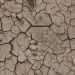 Close-up of cracked, dry earth showcasing the effects of drought and environmental stress.