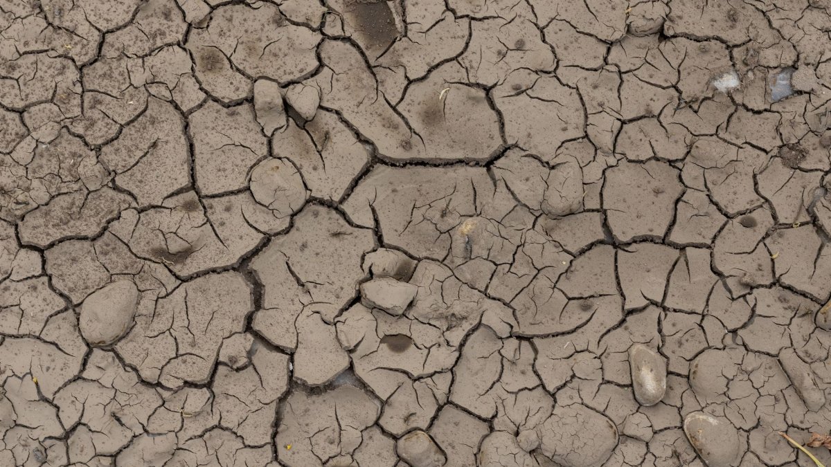 Close-up of cracked, dry earth showcasing the effects of drought and environmental stress.