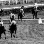 Black and white photo of horse racing at a track in Wrocław, Poland.