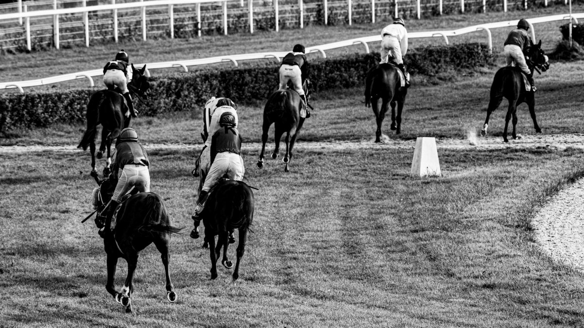 Black and white photo of horse racing at a track in Wrocław, Poland.