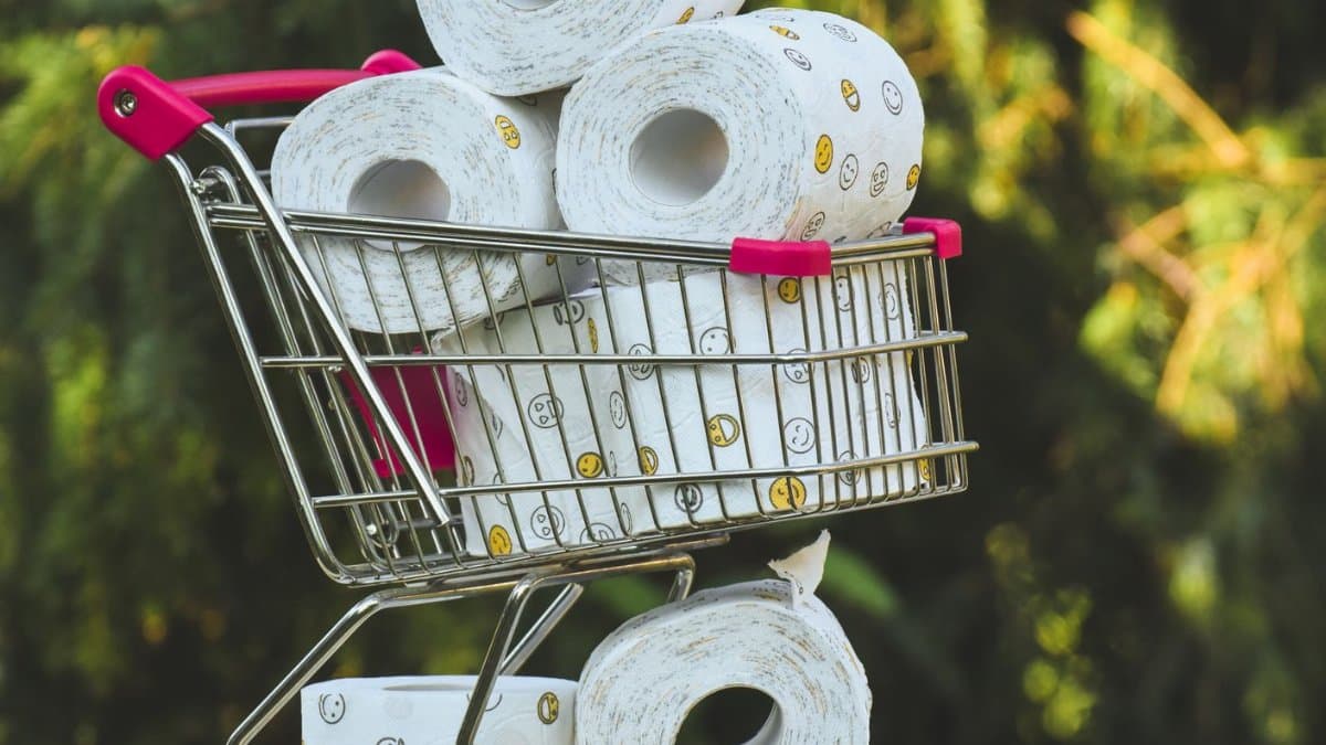 A shopping cart filled with printed toilet paper rolls outdoors on a sunny day.