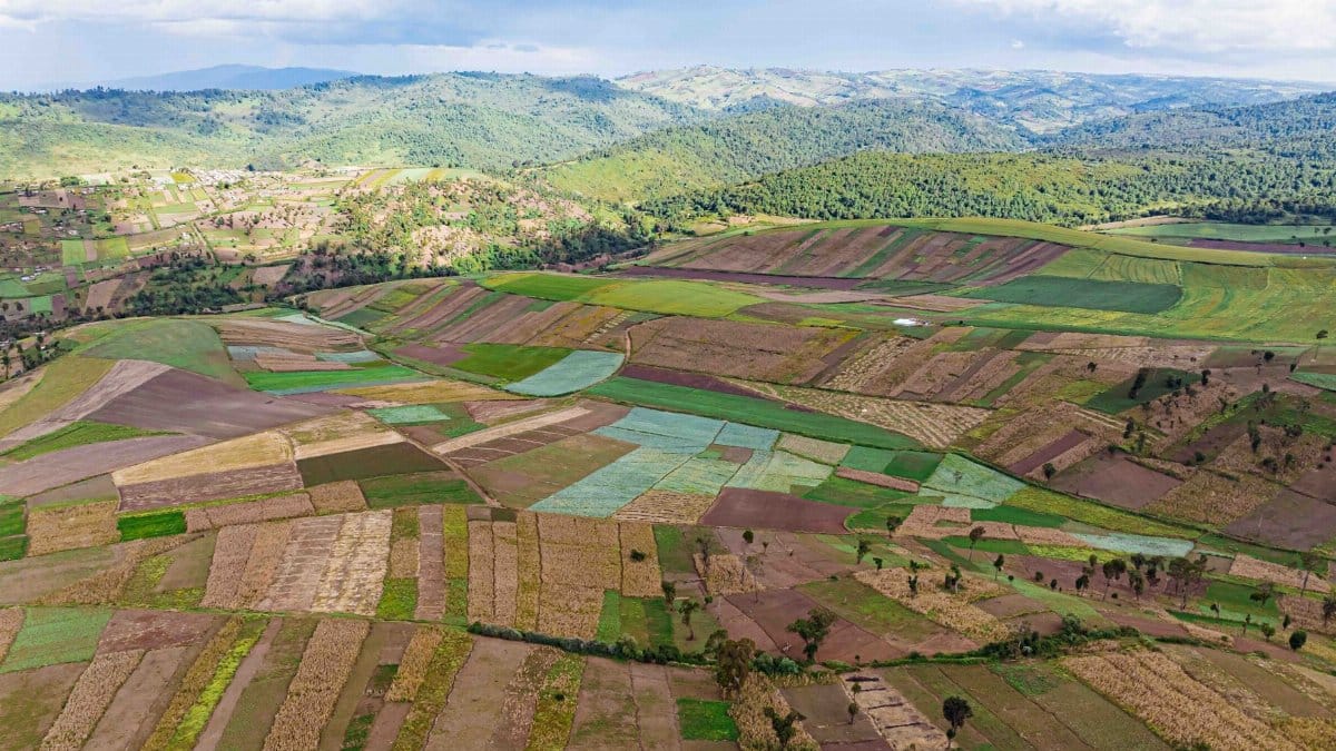 Vibrant aerial landscape of patchwork farmlands in Mau Narok, Kenya, showcasing diverse agricultural patterns.