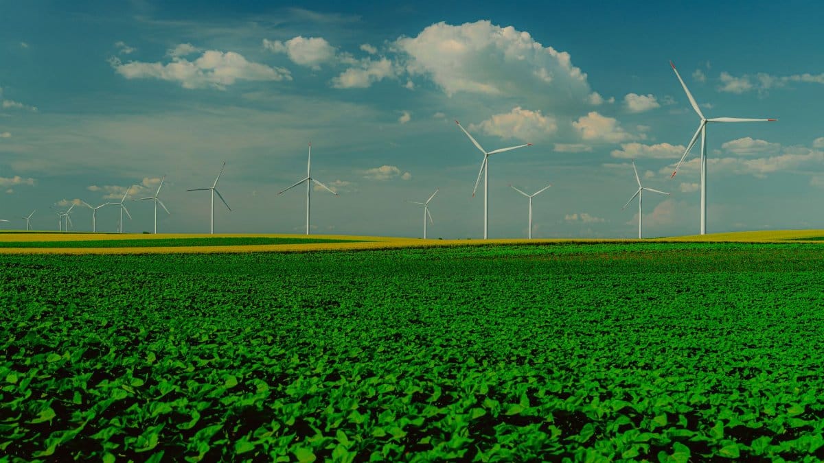 Panoramic view of wind turbines in a lush green field with a clear blue sky.
