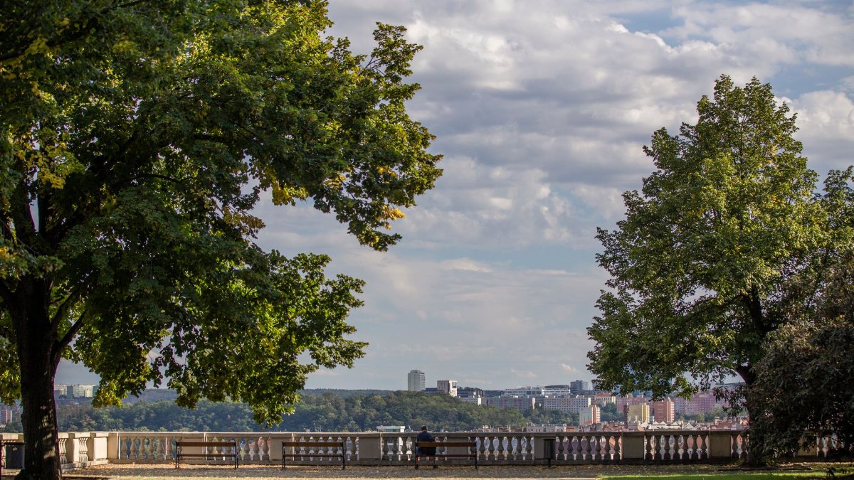 A tranquil cityscape from a green park lookout with benches, perfect for relaxation.