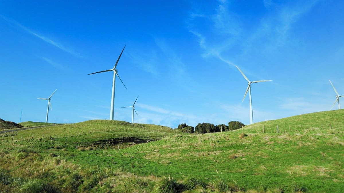 Scenic view of wind turbines on lush hills in Aokautere, New Zealand under a clear blue sky.