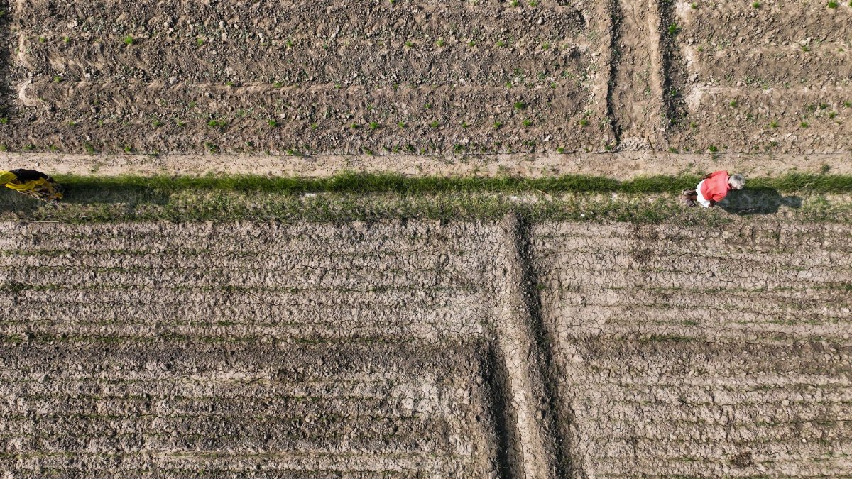 Aerial shot of farmers walking on a path between plowed fields, showcasing agricultural patterns.