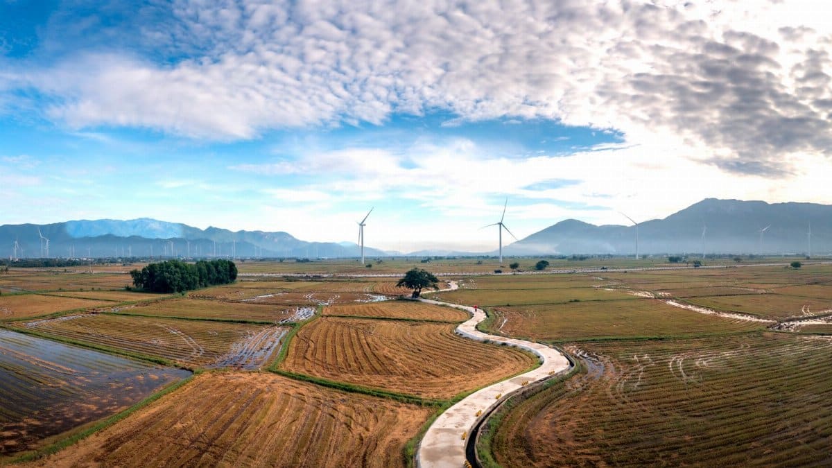 Panoramic aerial vista of wind turbines amidst rice fields in Vietnam. Renewable energy in scenic rural landscape.