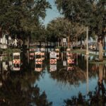 A flooded street with road closed signs reflecting in the water along a tree-lined sidewalk.