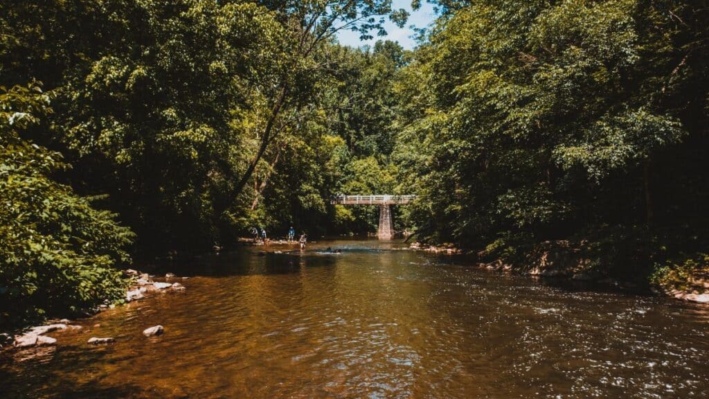 Calm rippling water surface of river running through green lush tropical rainforest in sunny day