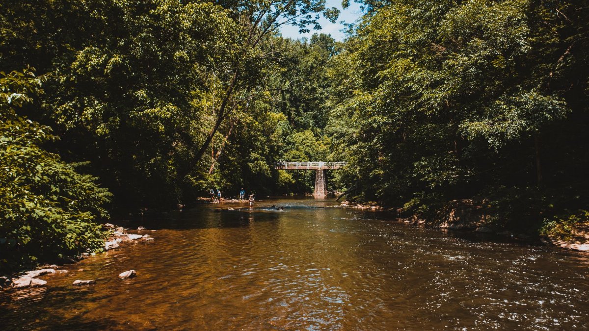 Calm rippling water surface of river running through green lush tropical rainforest in sunny day