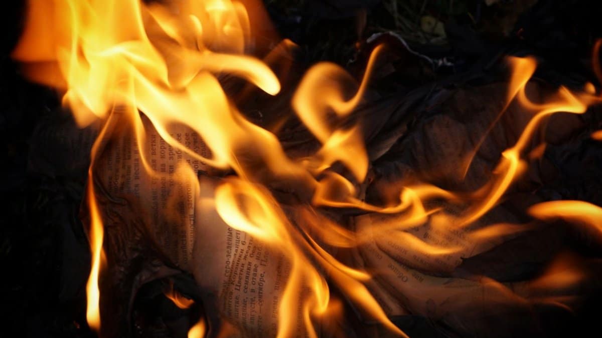 Intense flames consume paper in a dramatic close-up, showcasing vibrant orange fire and heat.