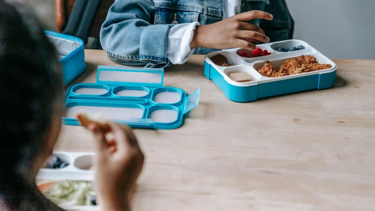Crop faceless classmates sitting at table with lunch boxes with various food and eating during break