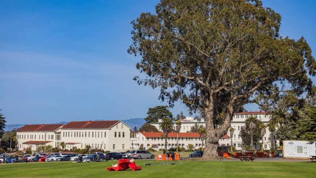 Historic campus buildings surrounded by lush greenery and a grand tree on a sunny day.