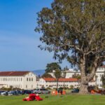 Historic campus buildings surrounded by lush greenery and a grand tree on a sunny day.