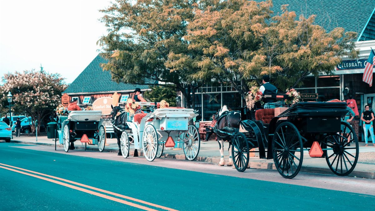 Horse-drawn carriages lined up downtown Cape May, NJ, showcasing quaint street life.