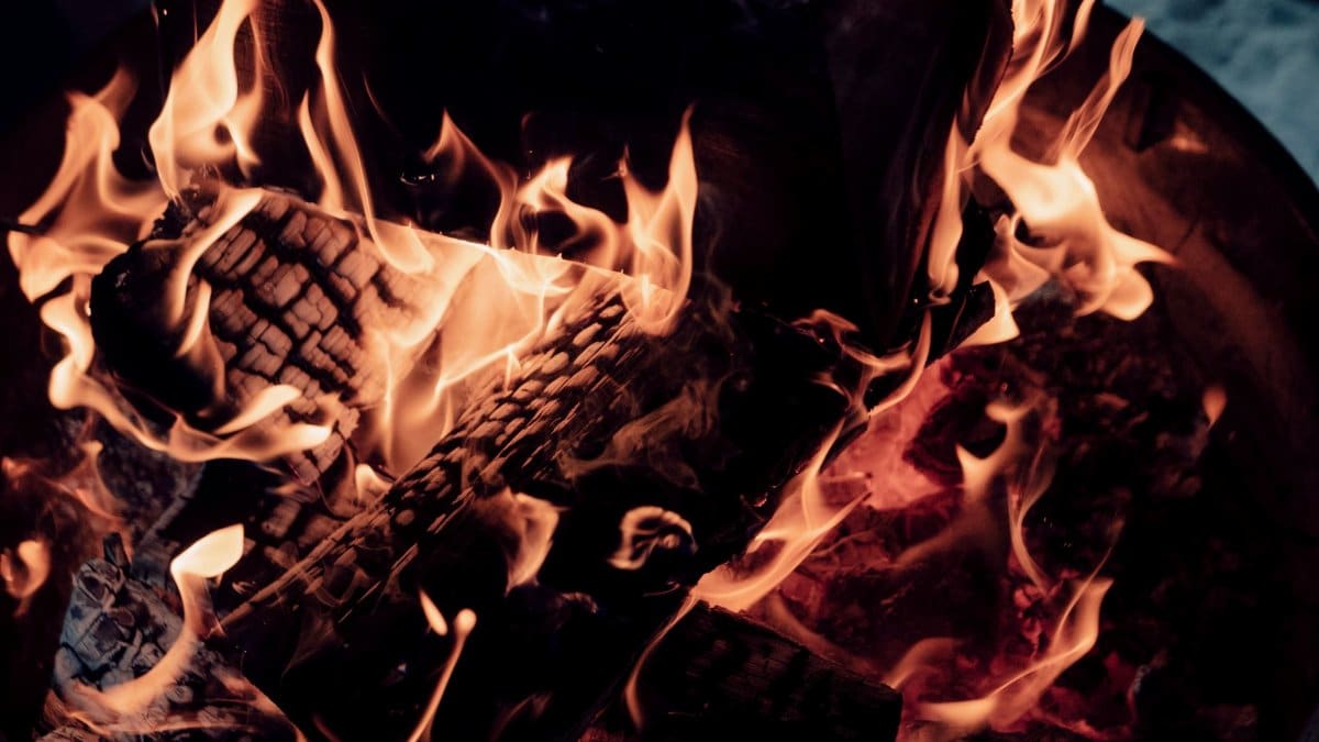 Captivating close-up of a bonfire with vibrant flames and logs burning.
