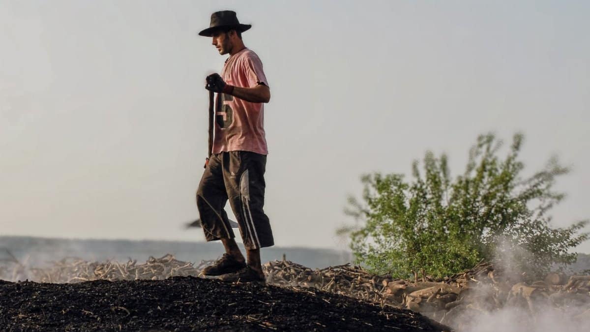 A man with a hat stands on a smoky terrain under the summer sun.