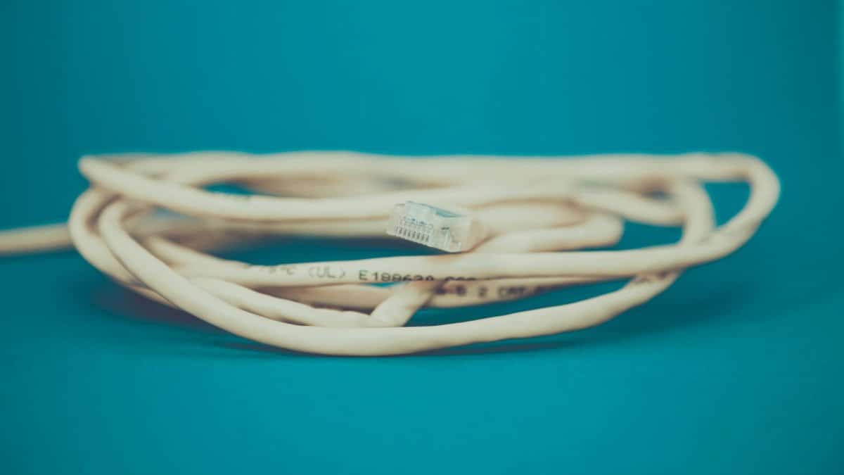 A detailed close-up of a coiled Ethernet cable with an RJ-45 connector against a teal background.