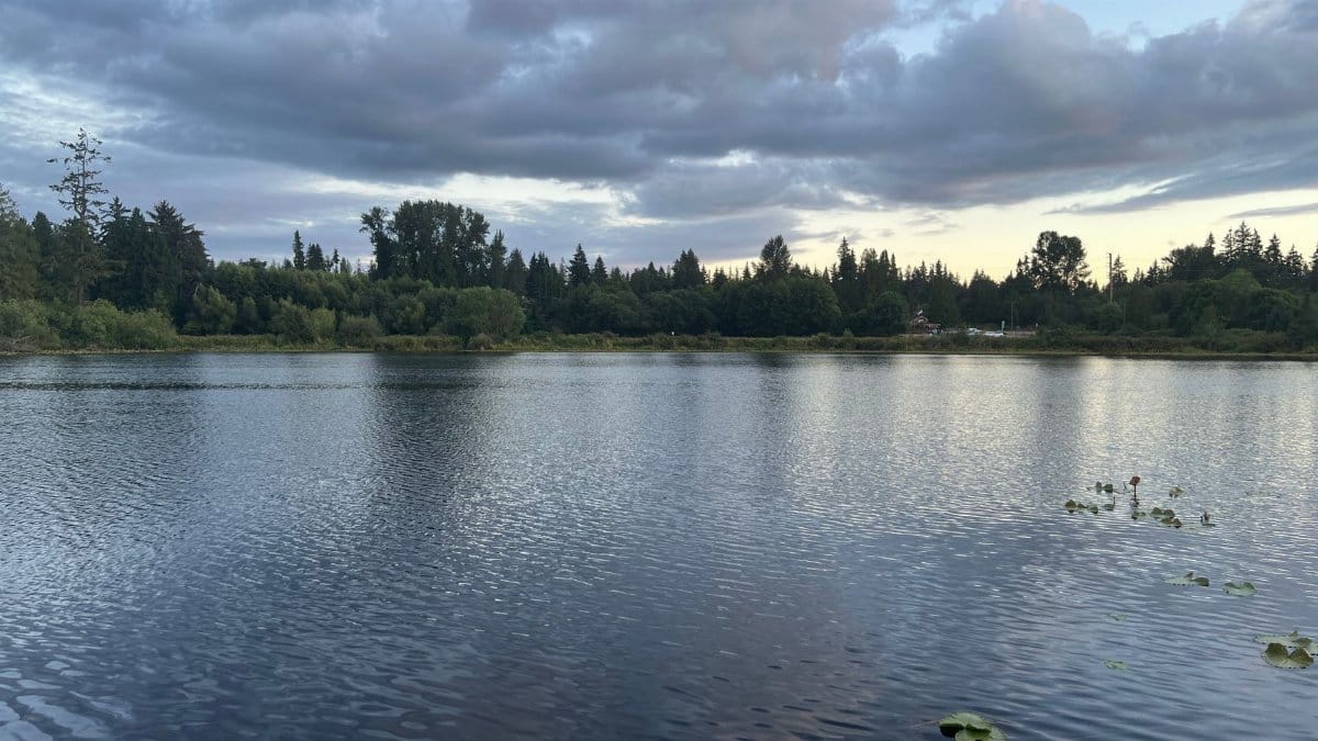 Tranquil lake scene with lush trees and overcast sky in Bellevue, WA.