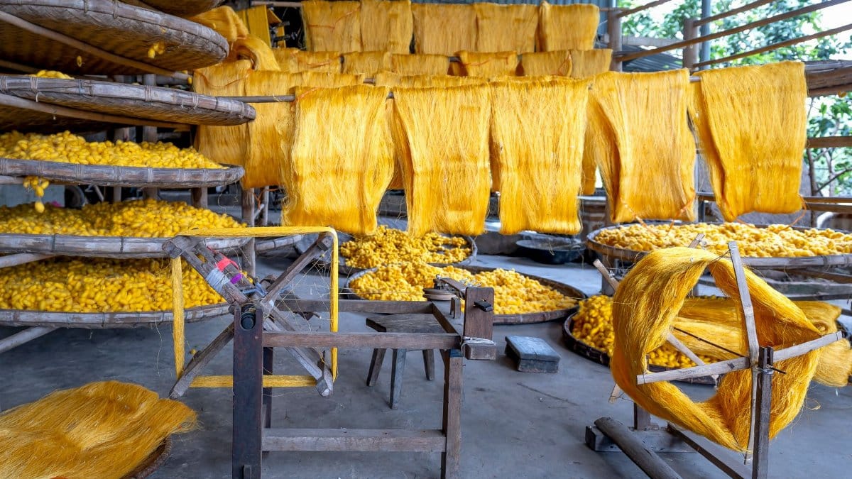 Vibrant yellow silk threads drying in a traditional textile factory.