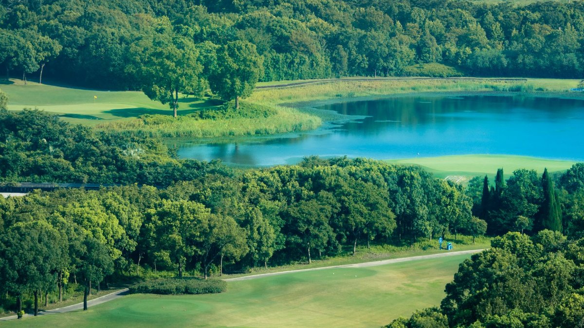 Aerial view of a lush green golf course surrounded by forest and a tranquil lake.