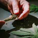 Detailed close-up of hands rolling a cannabis joint with marijuana leaves scattered around.