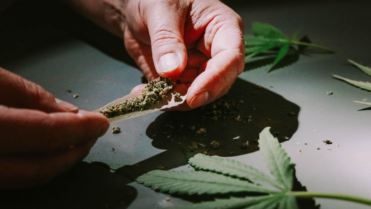 Detailed close-up of hands rolling a cannabis joint with marijuana leaves scattered around.