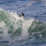 A surfer skillfully navigates a massive ocean wave, showcasing adventure and agility.