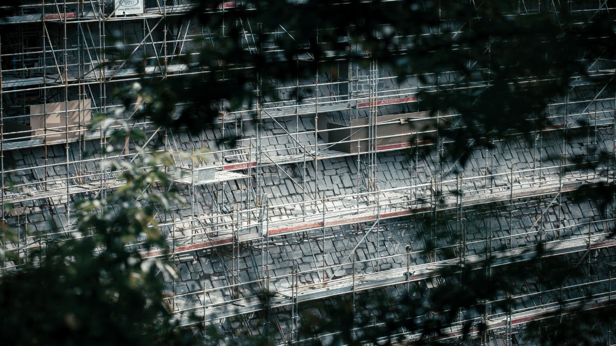 High-angle view of scaffolding through leaves, showcasing a building under construction in natural light.