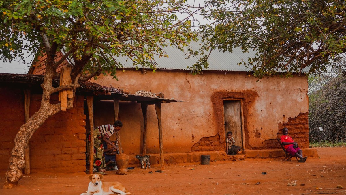 A serene rural scene depicting a homestead in Tanzania with local people and animals.